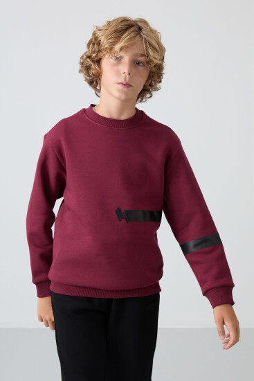 Erguvan Pamuklu Kalın İçi Tüylü Yumuşak Dokulu Standart Fit Baskılı Erkek Çocuk Sweatshirt - 11238 